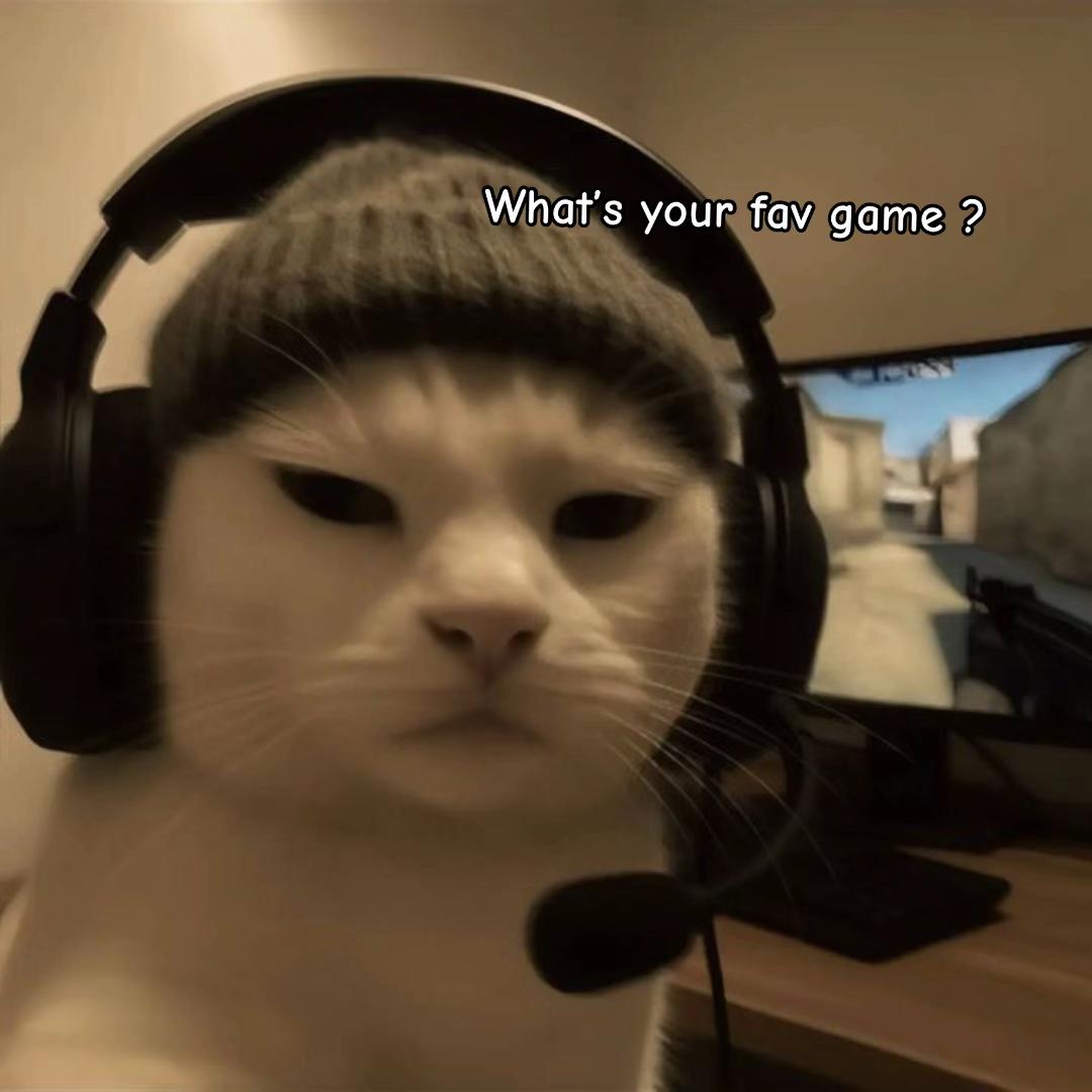@Meow kitty