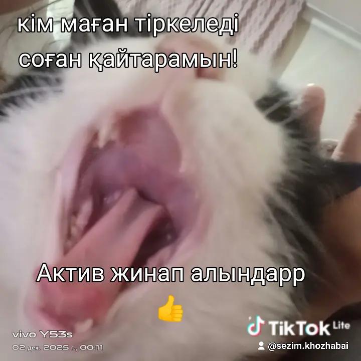 @Мукабай 🐈