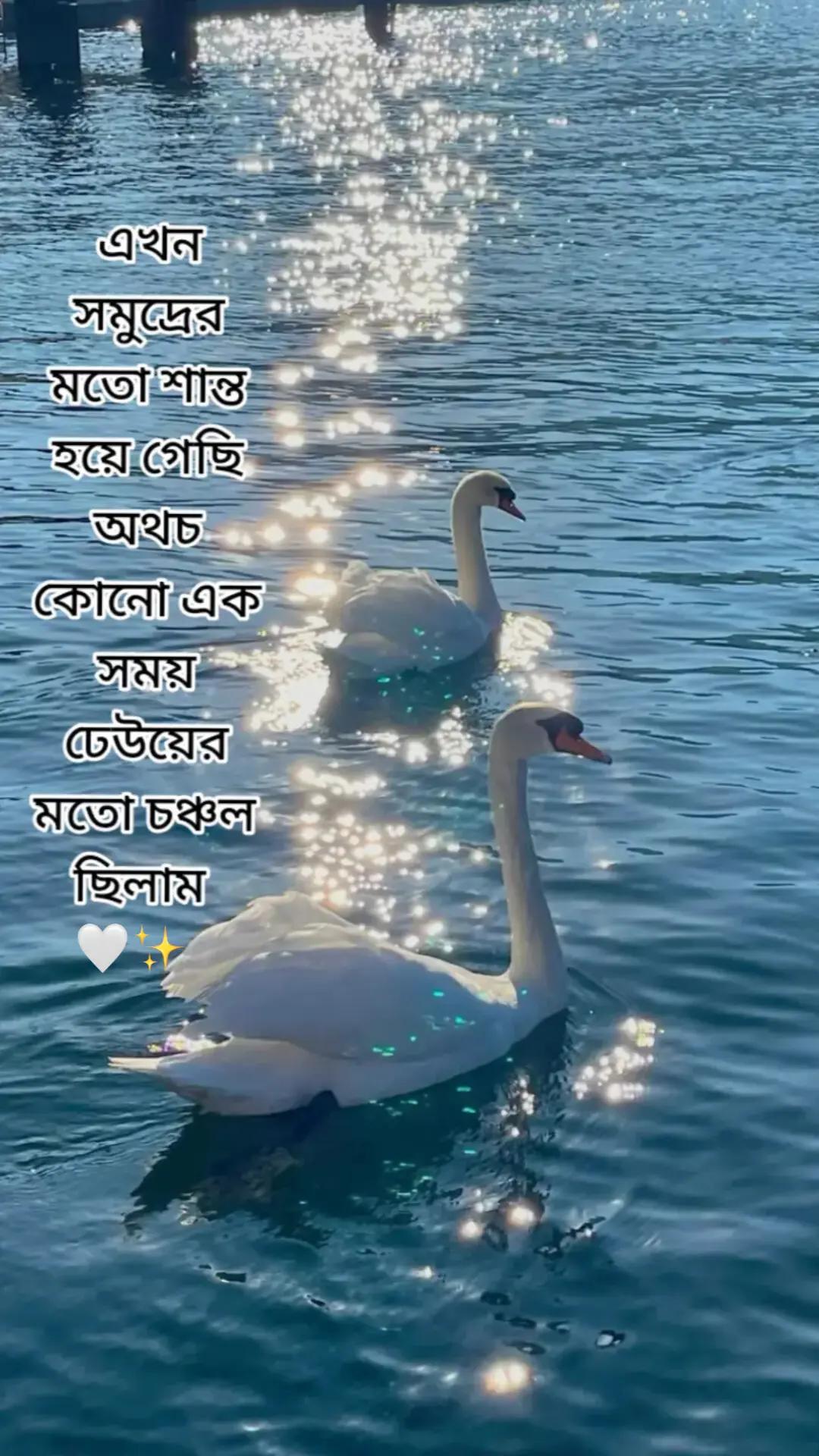 @Tamuuđ