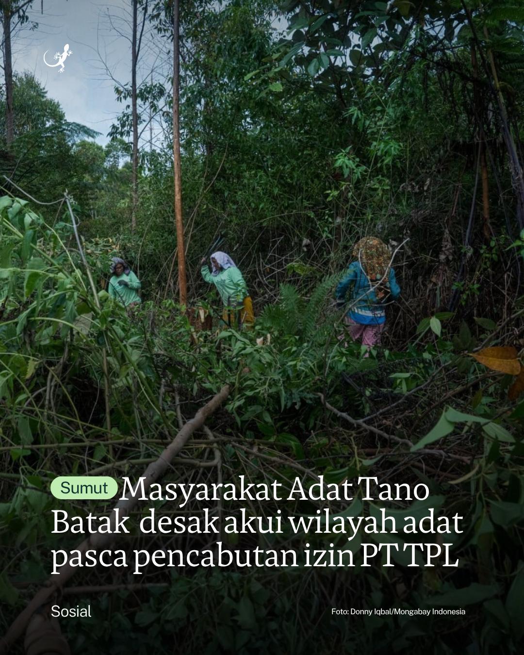 @mongabayindonesia