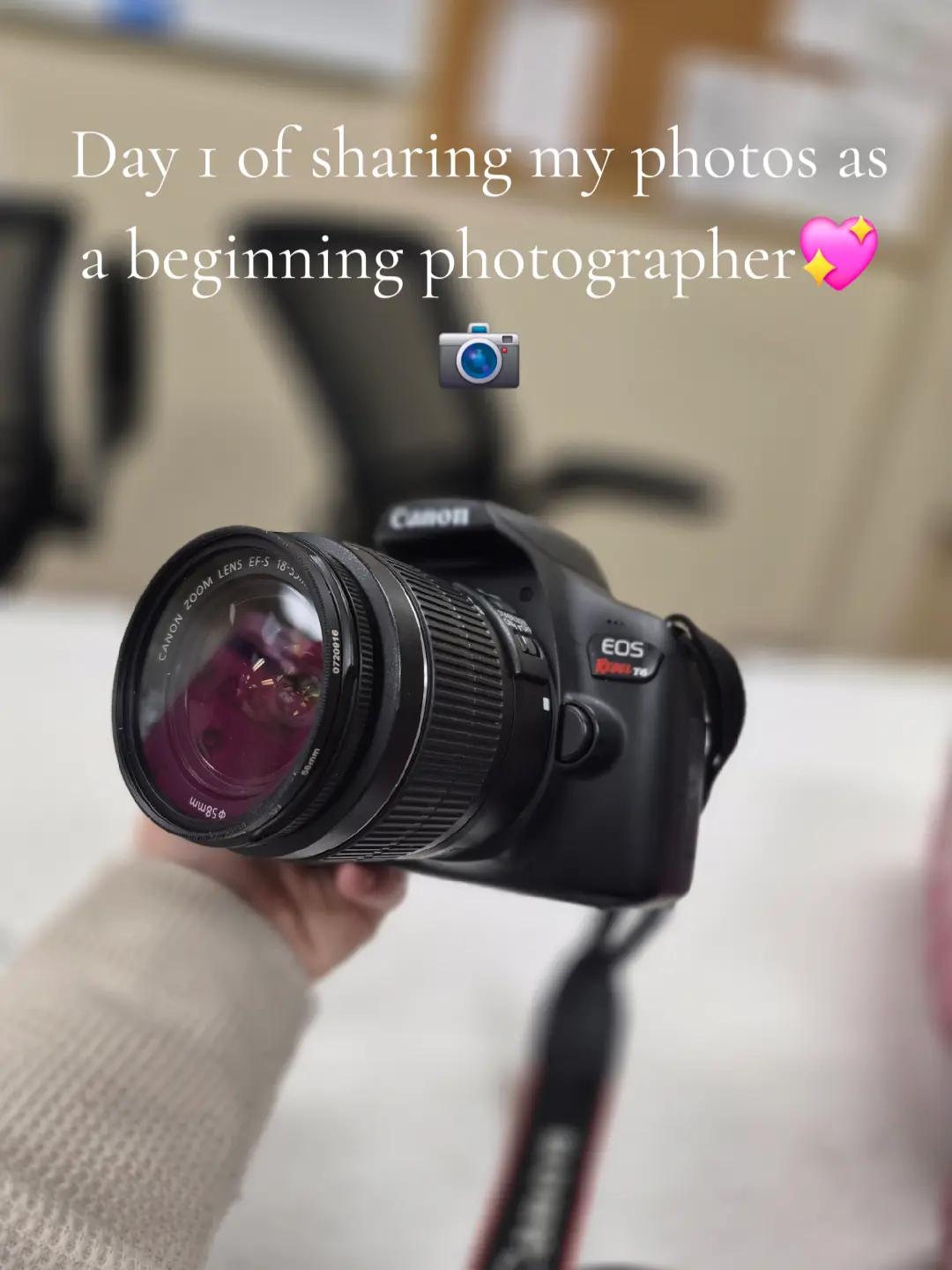 @paramedic.princess