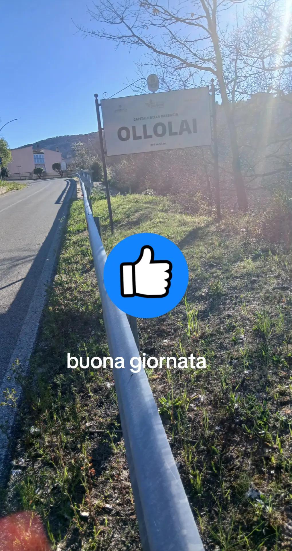 @nuvoli1979