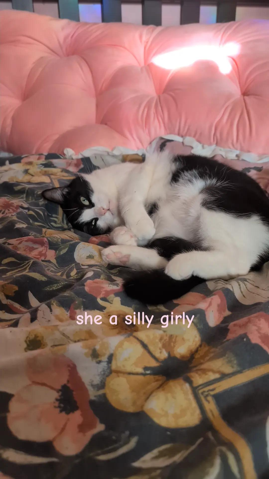 @Alice Evelynn [Author]