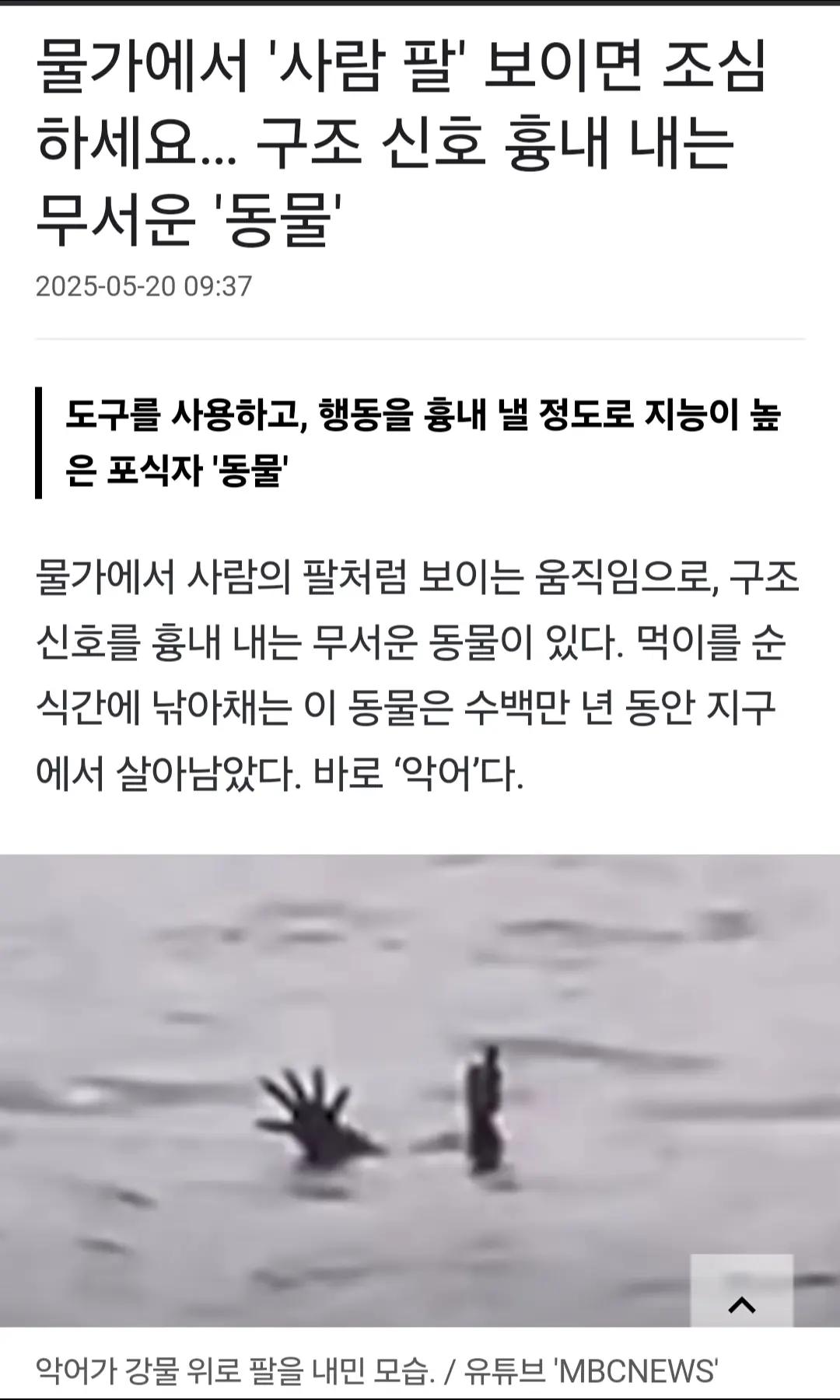 @⏰️ 거꾸로 가는 시계 ⏰️