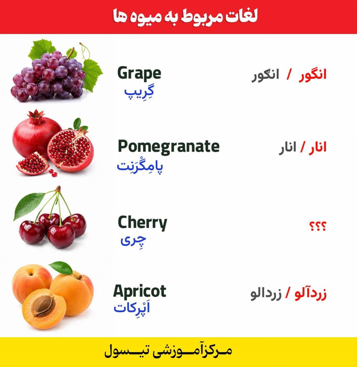 @مرکز آموزشی تیسول _ T T C