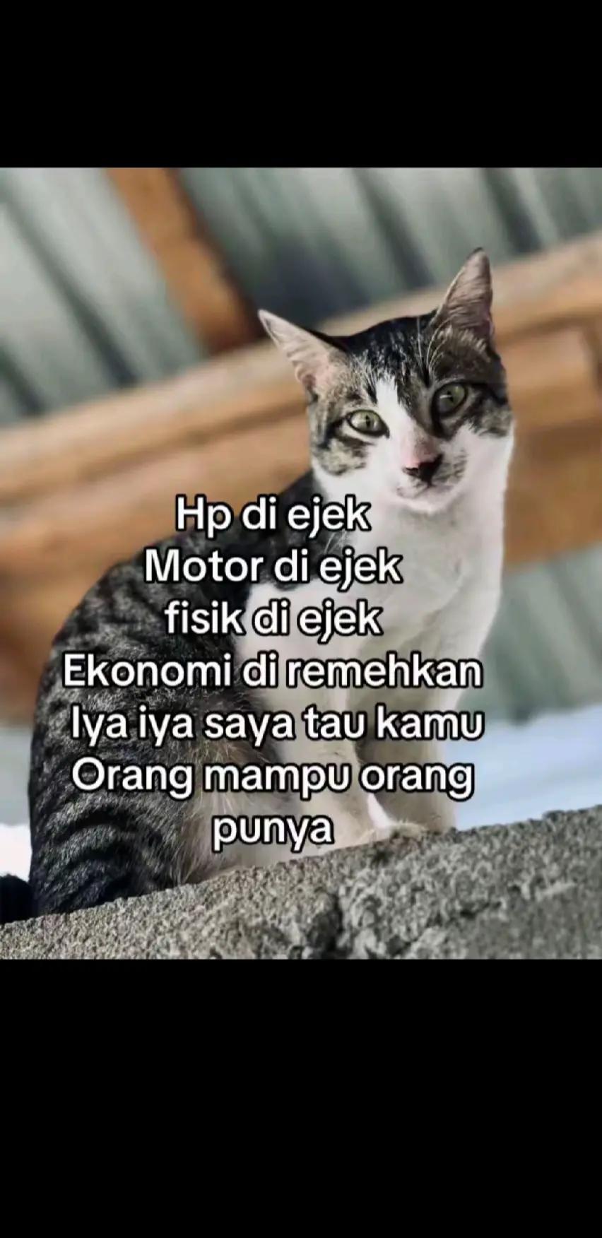 @Kiii
