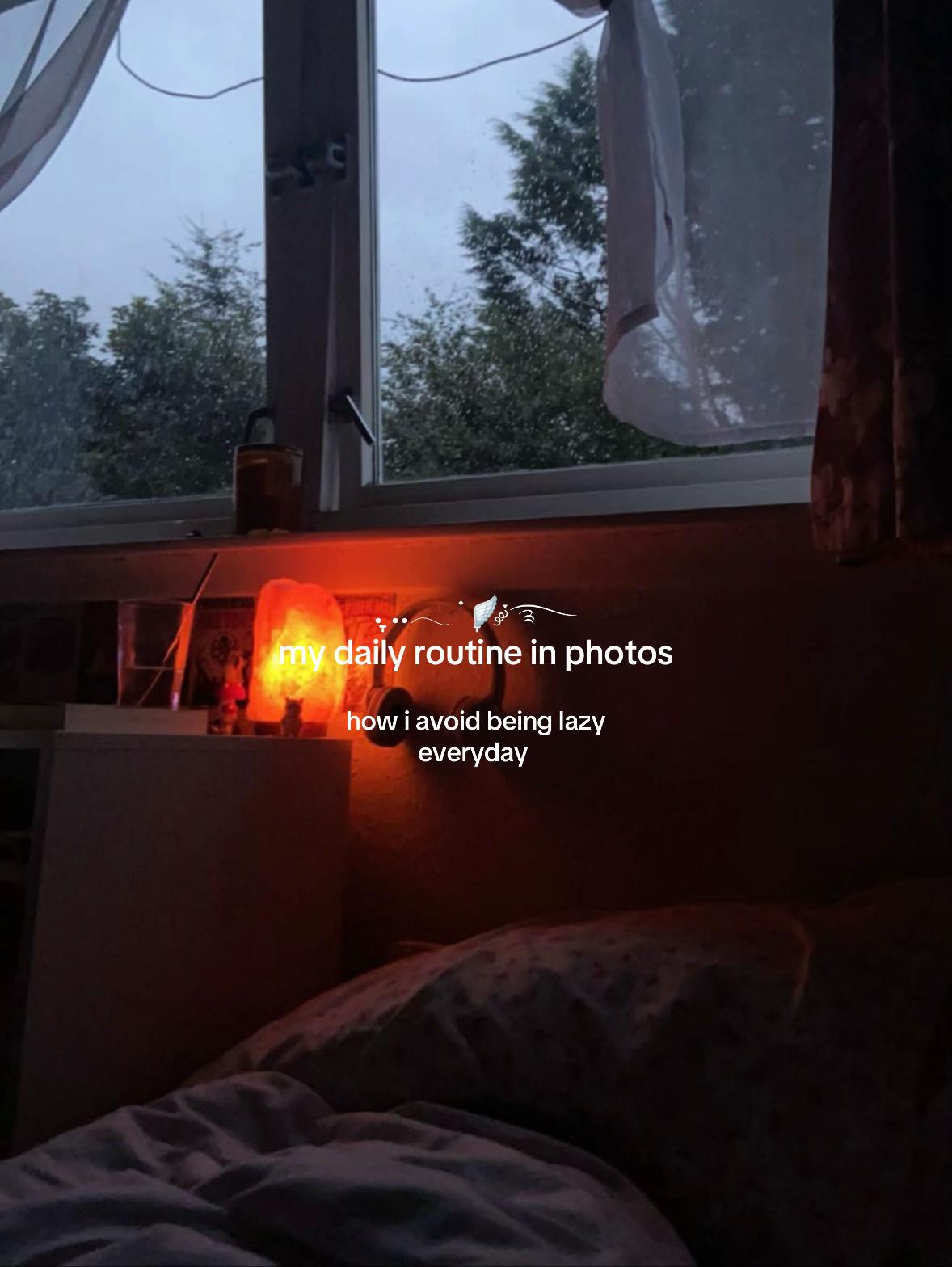 @𐙚⋆°🦢。⋆♡