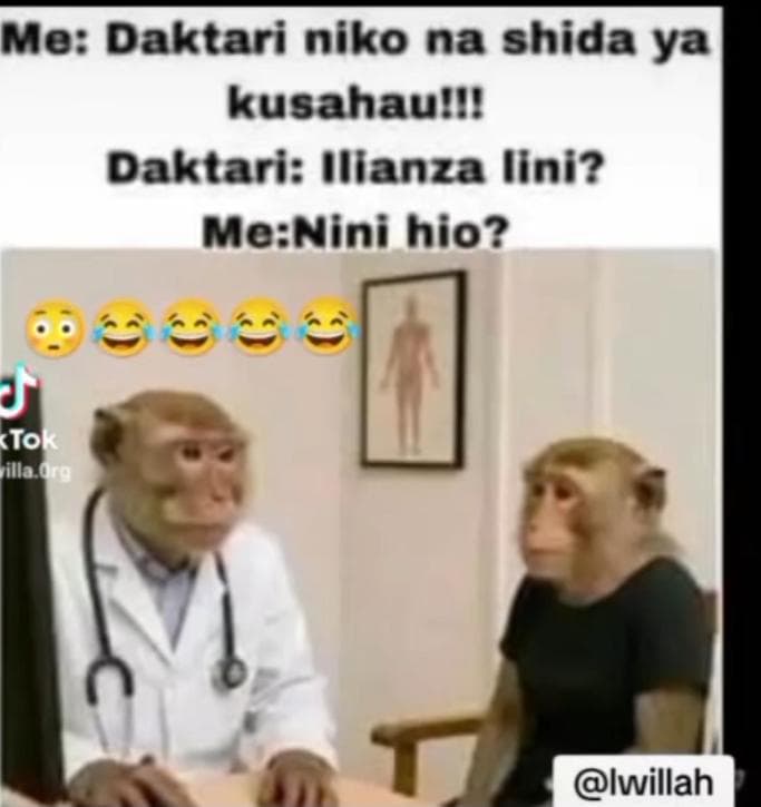 @maina wamatunda 🍍🍍🍒🍉🥑🍆🥬