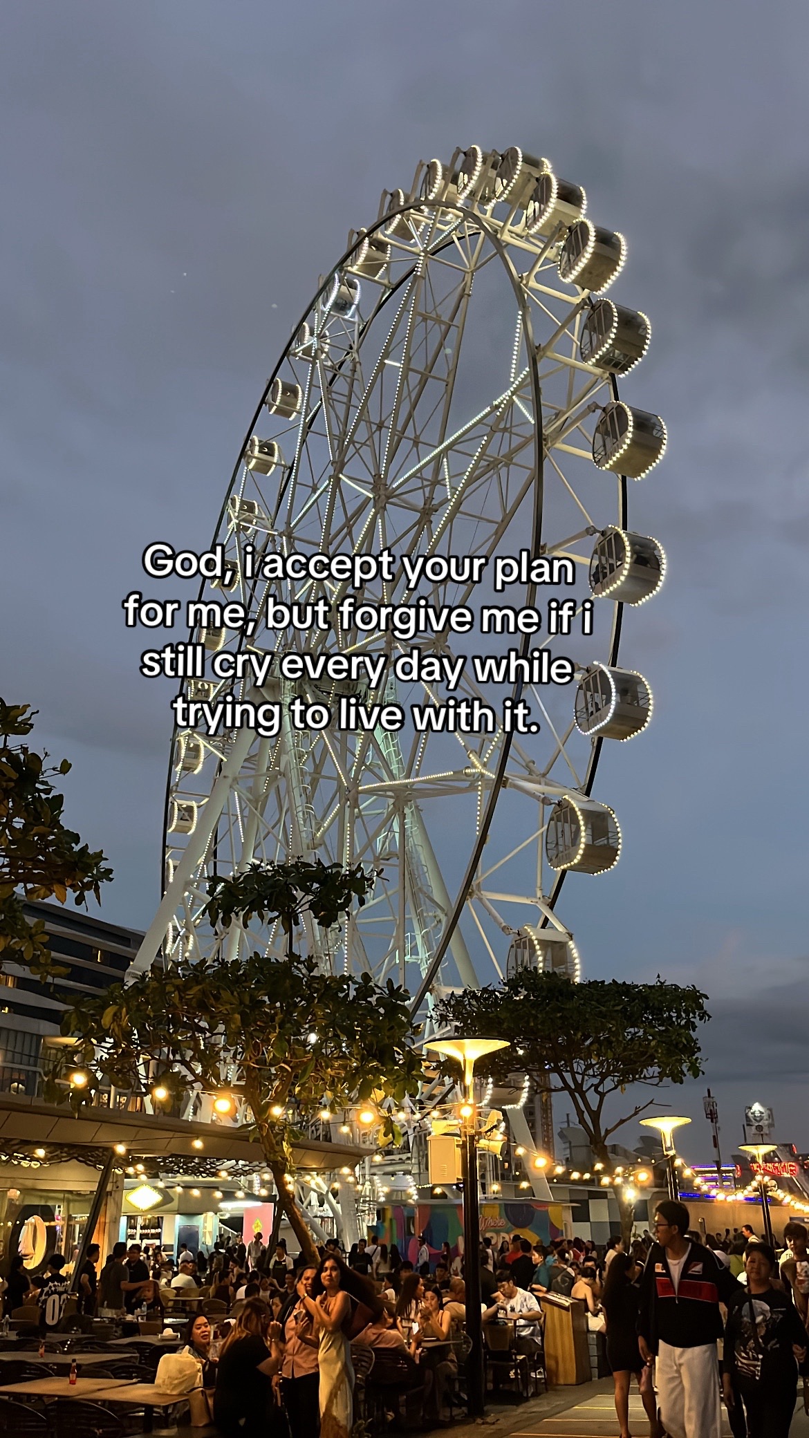 @🦑