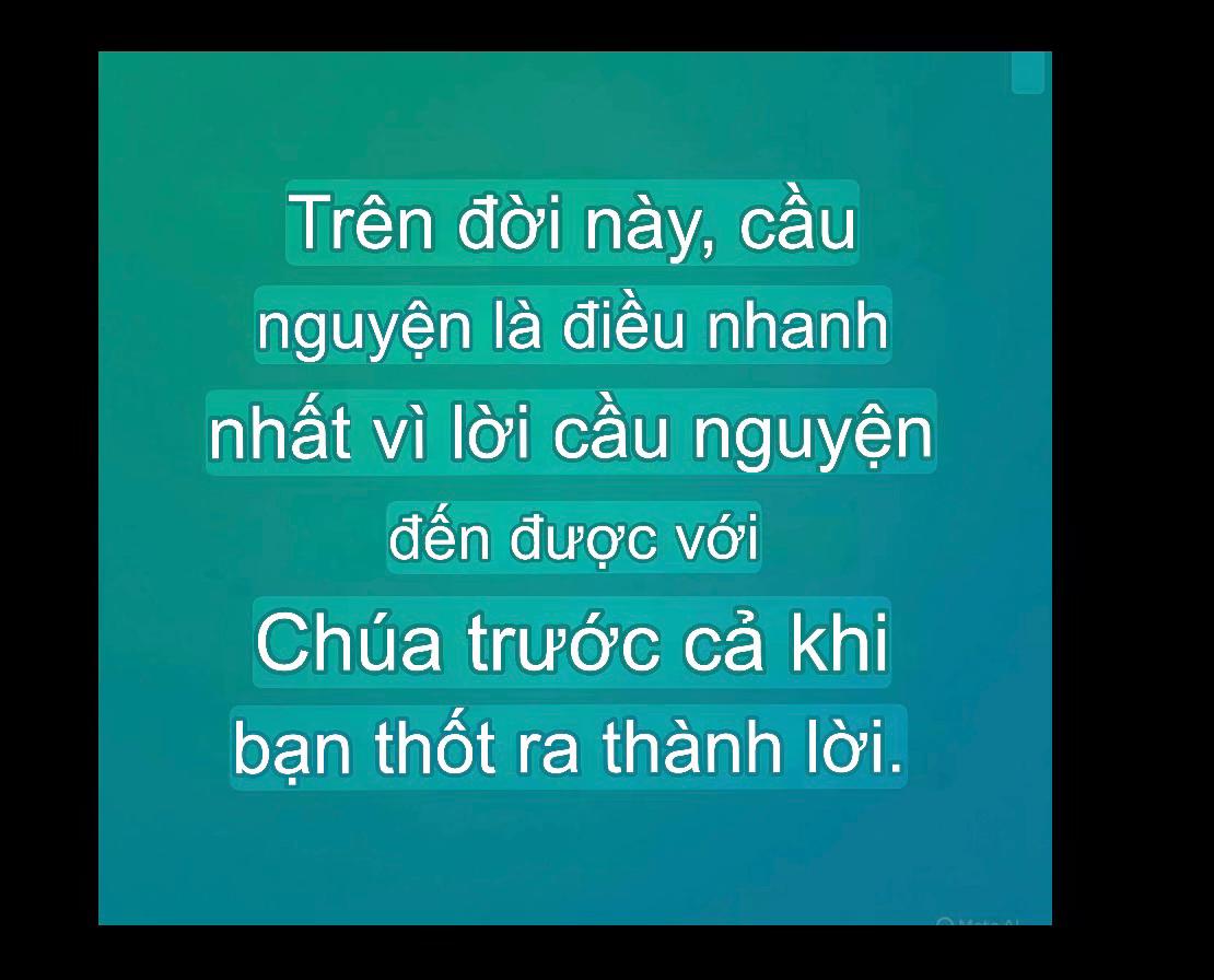 @Anne Phuong
