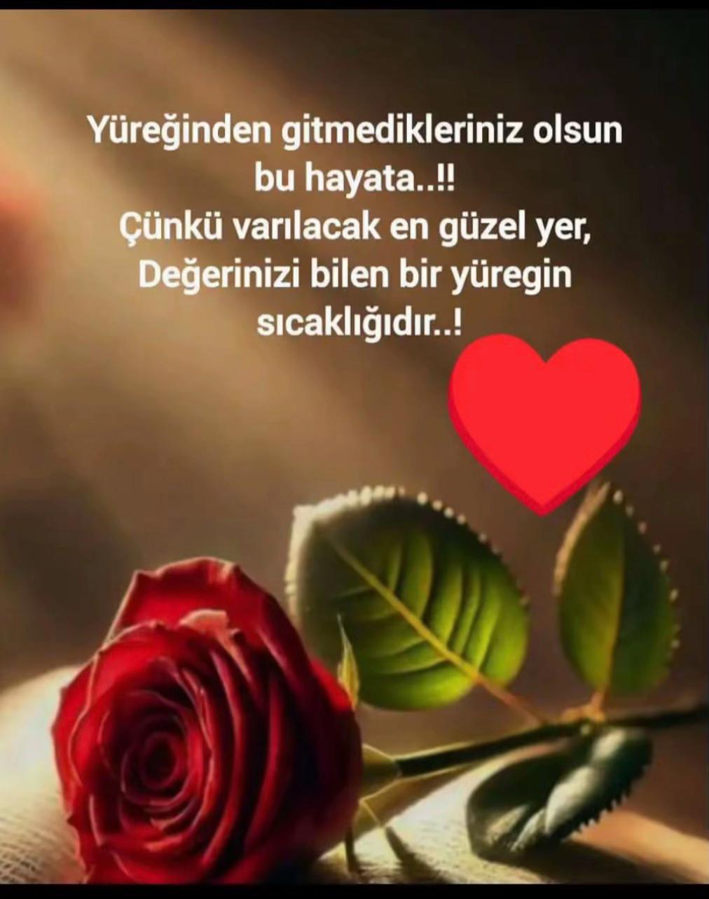 @efeosman36