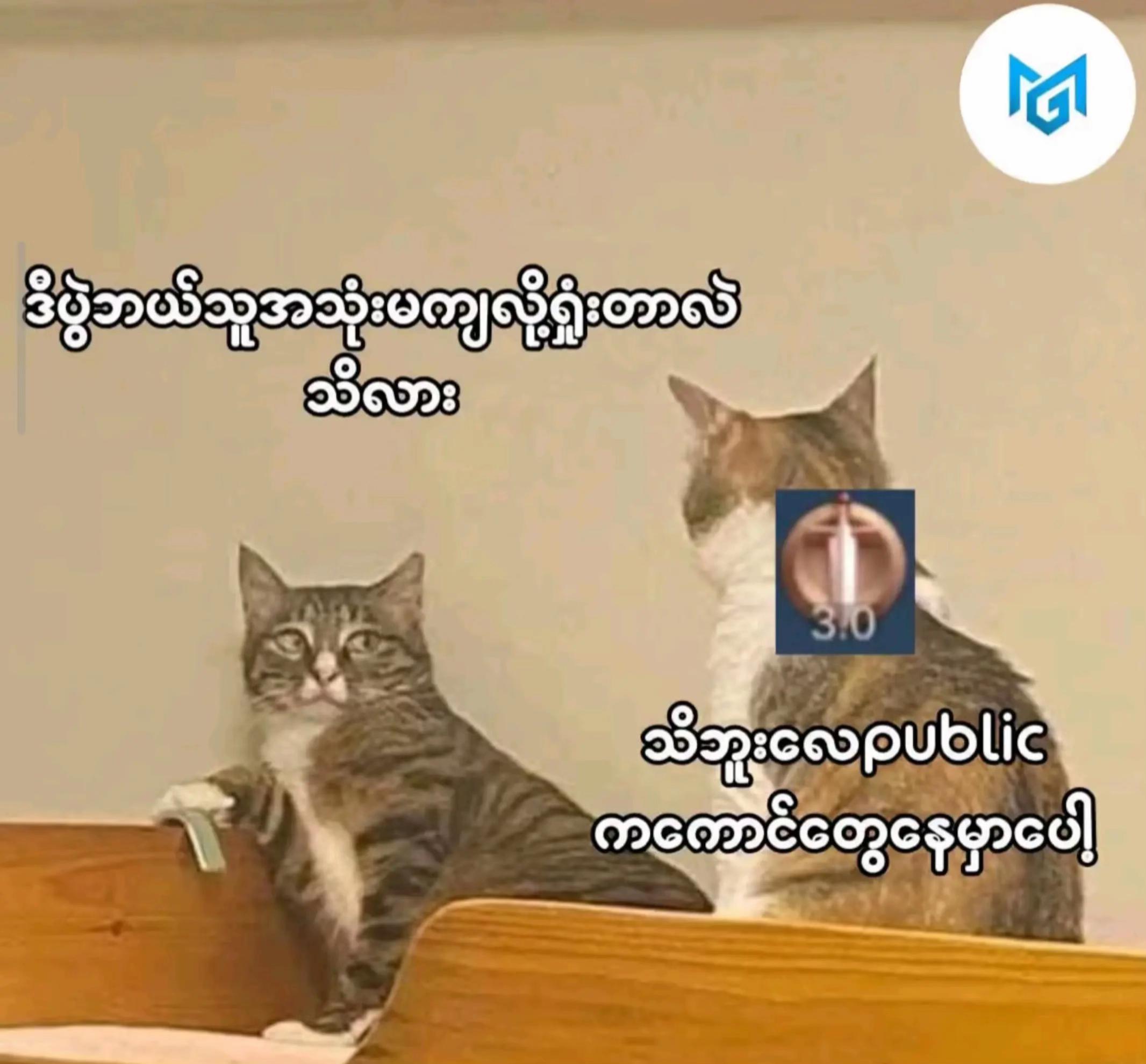 @ivylayml(သခင်မကြီး)