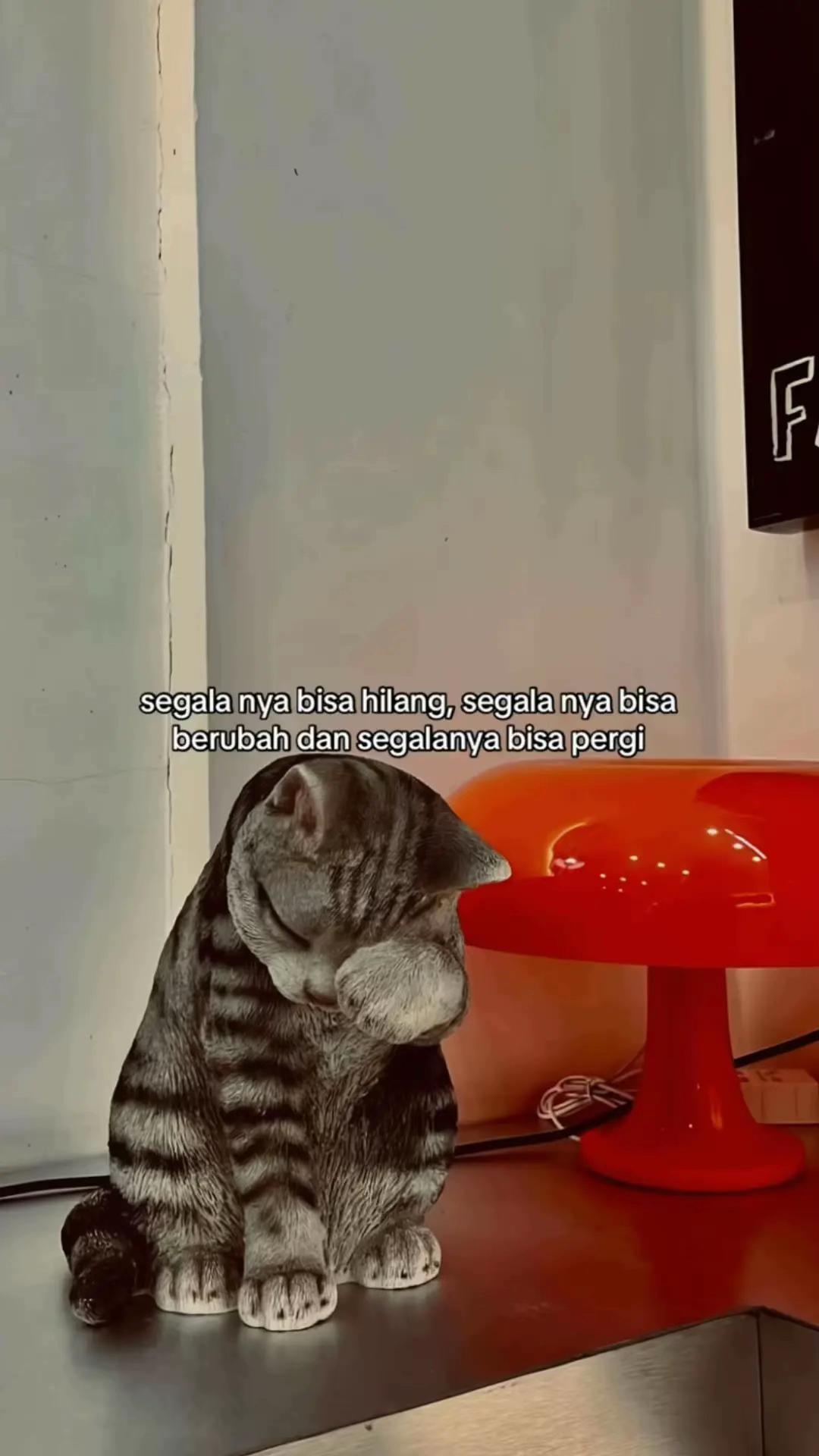 @stenky