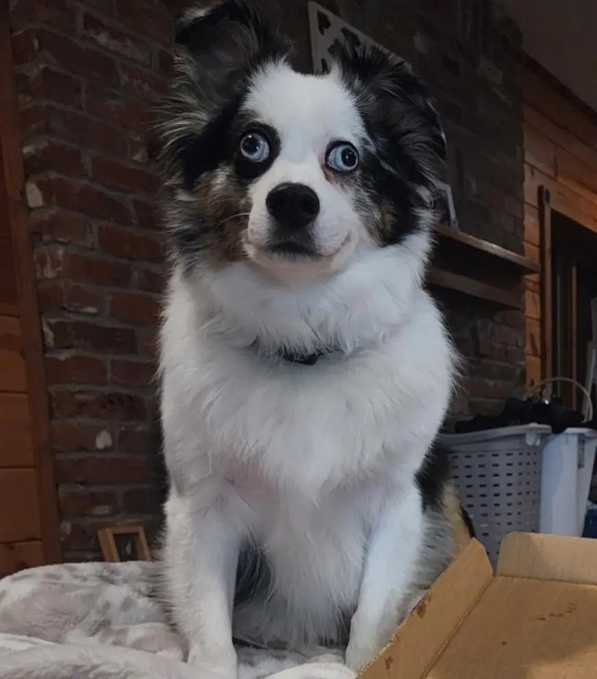 @mrpuddles