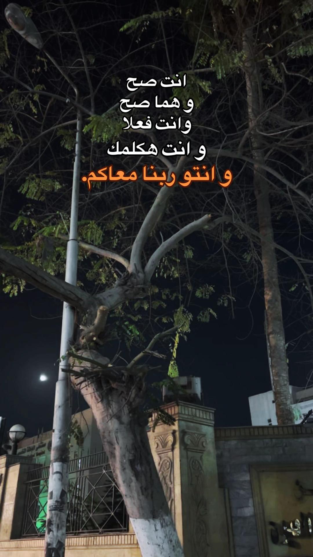 @محدش مهتم