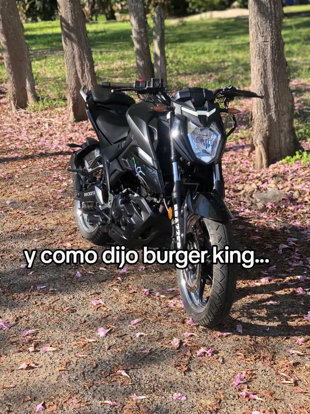 @Adrian 🕷️