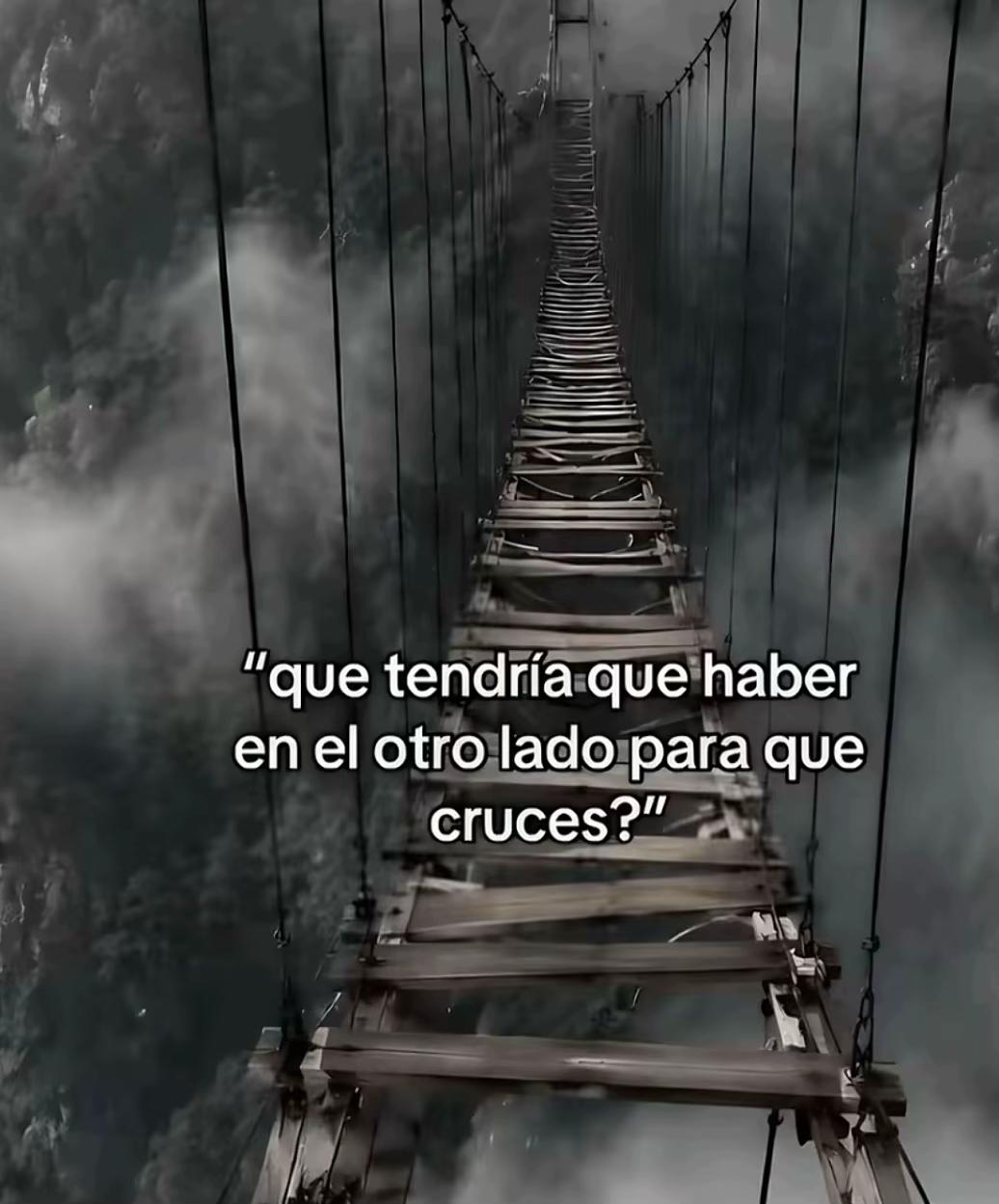 @Carla🪽
