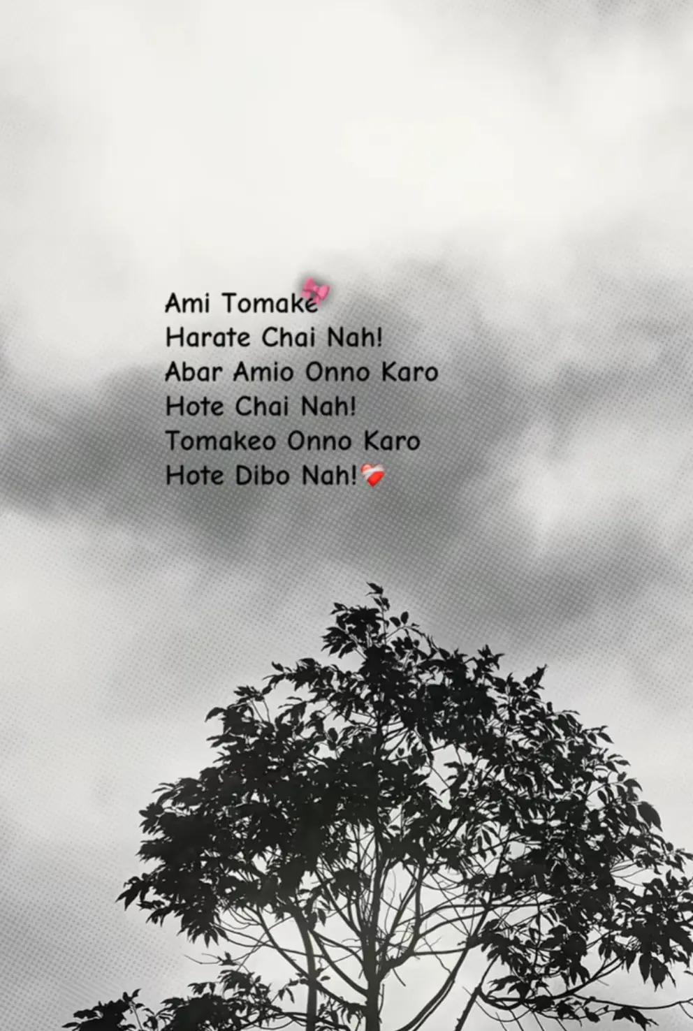 @Ahmed hasan.🕊️✨