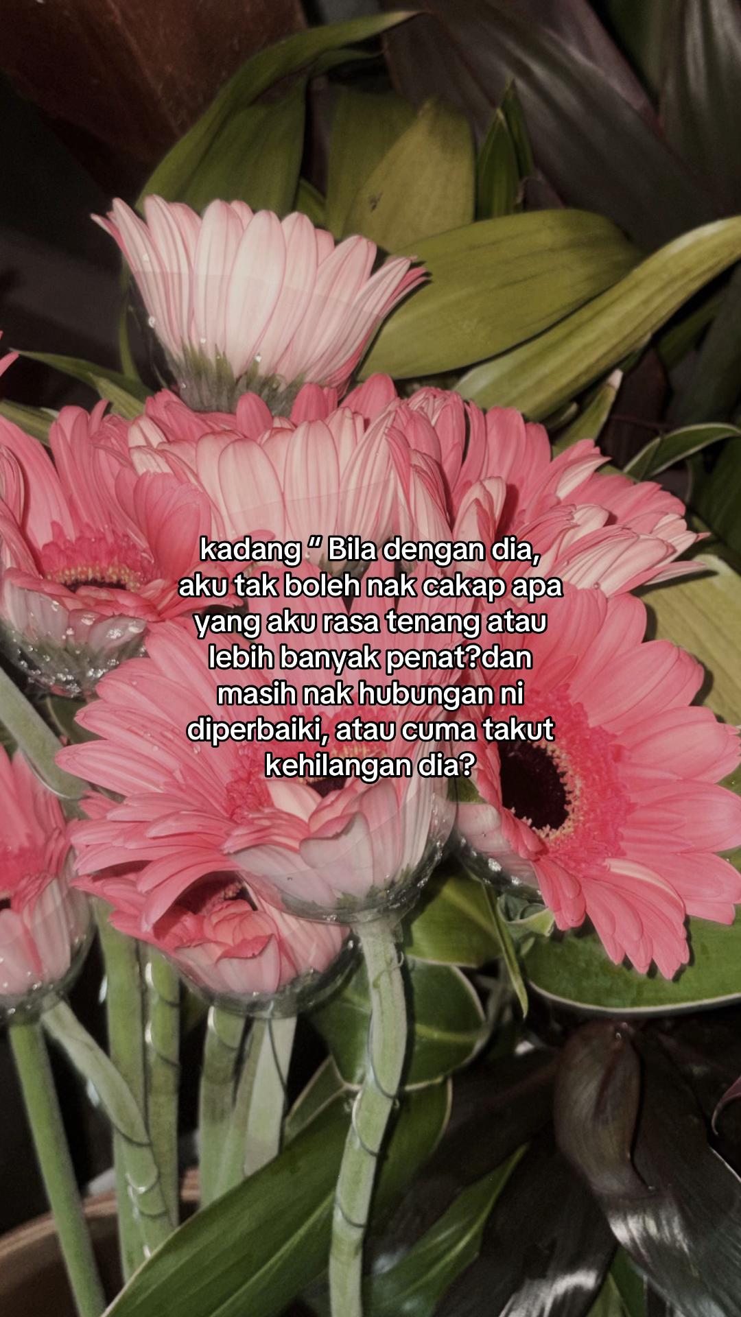 @🥀
