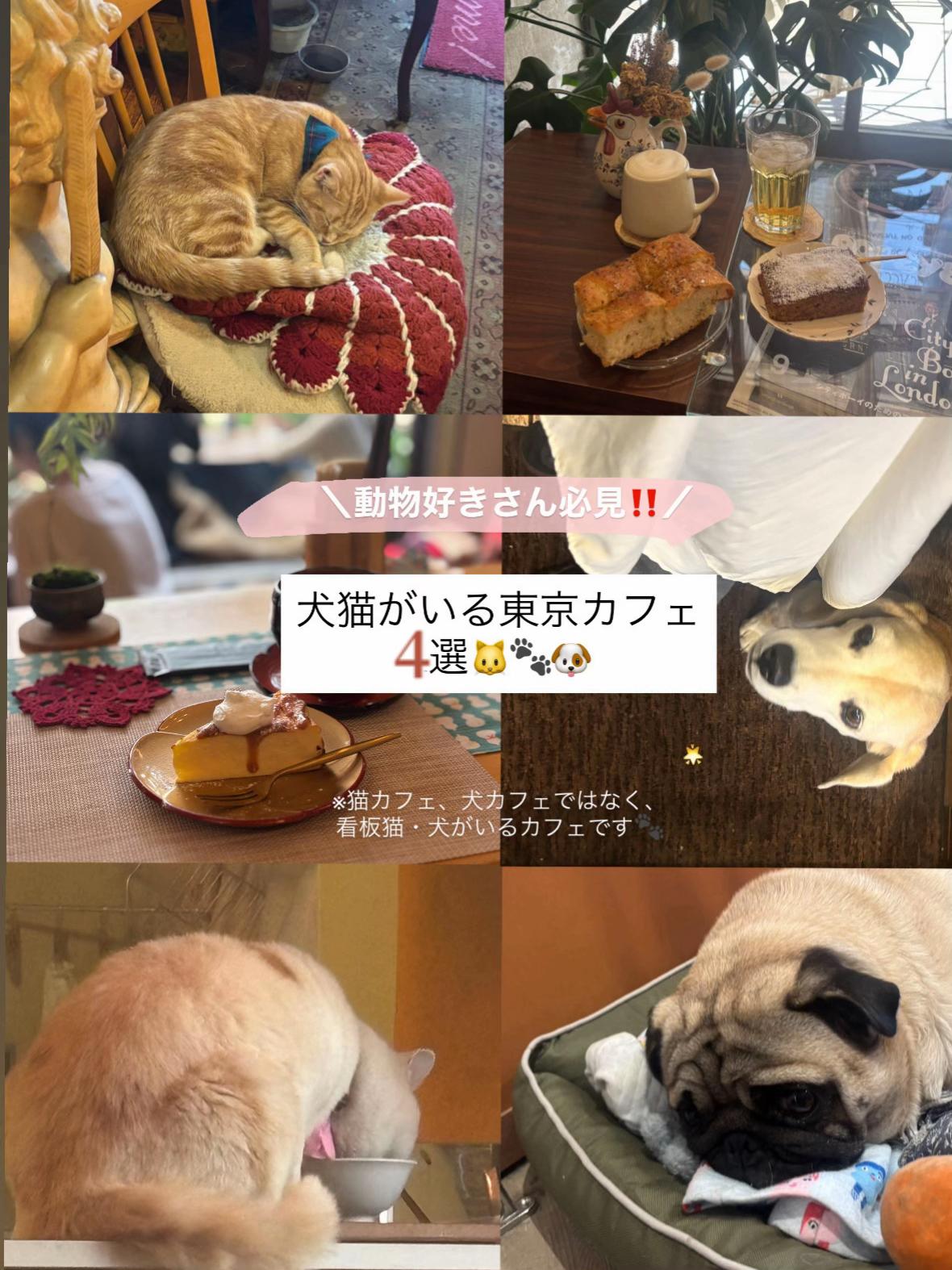 @mii|おでかけ記録