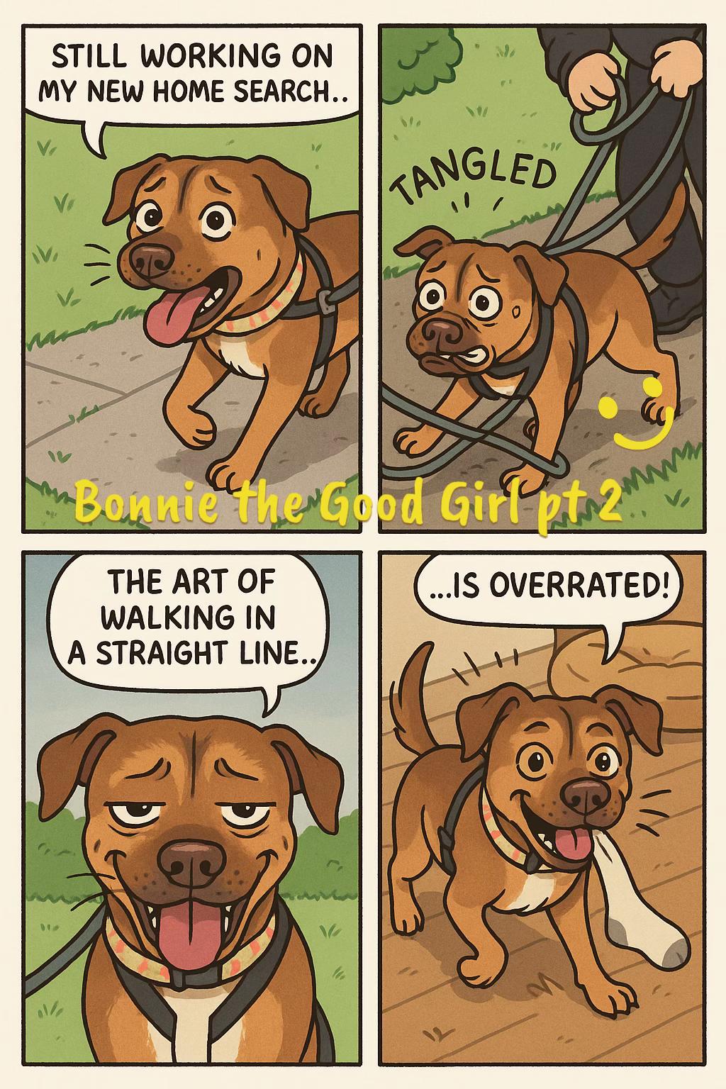 @Homeless hounds