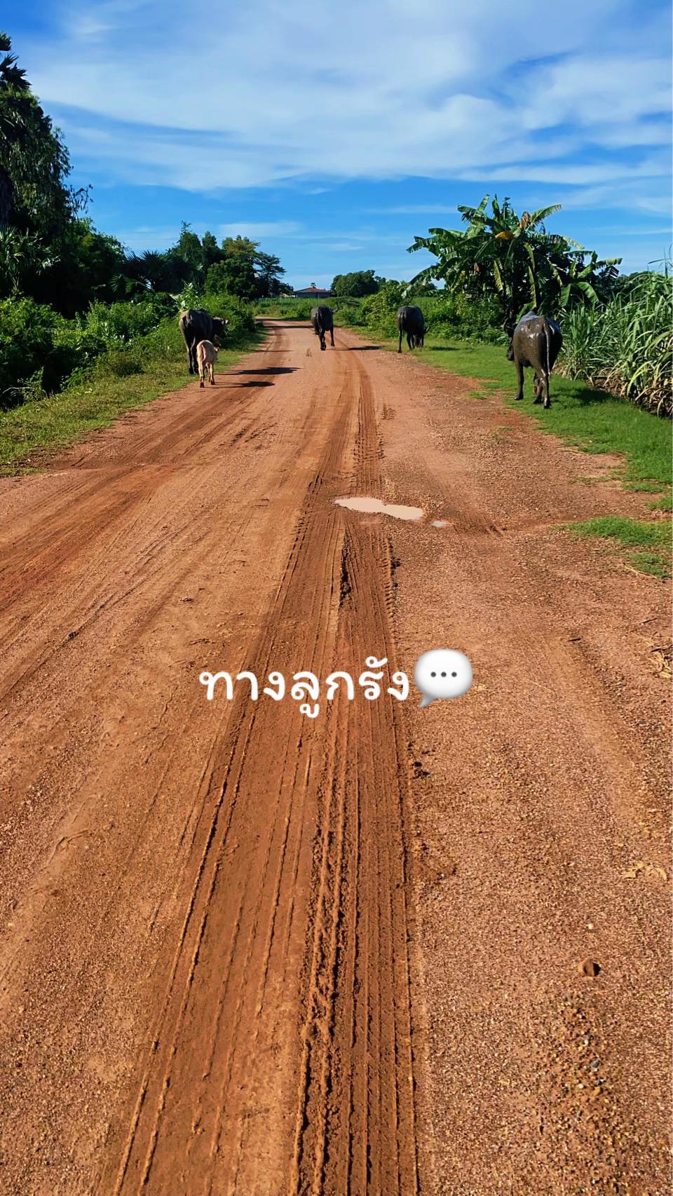 @🎀❤️ฅนเล็ก❤️🎀