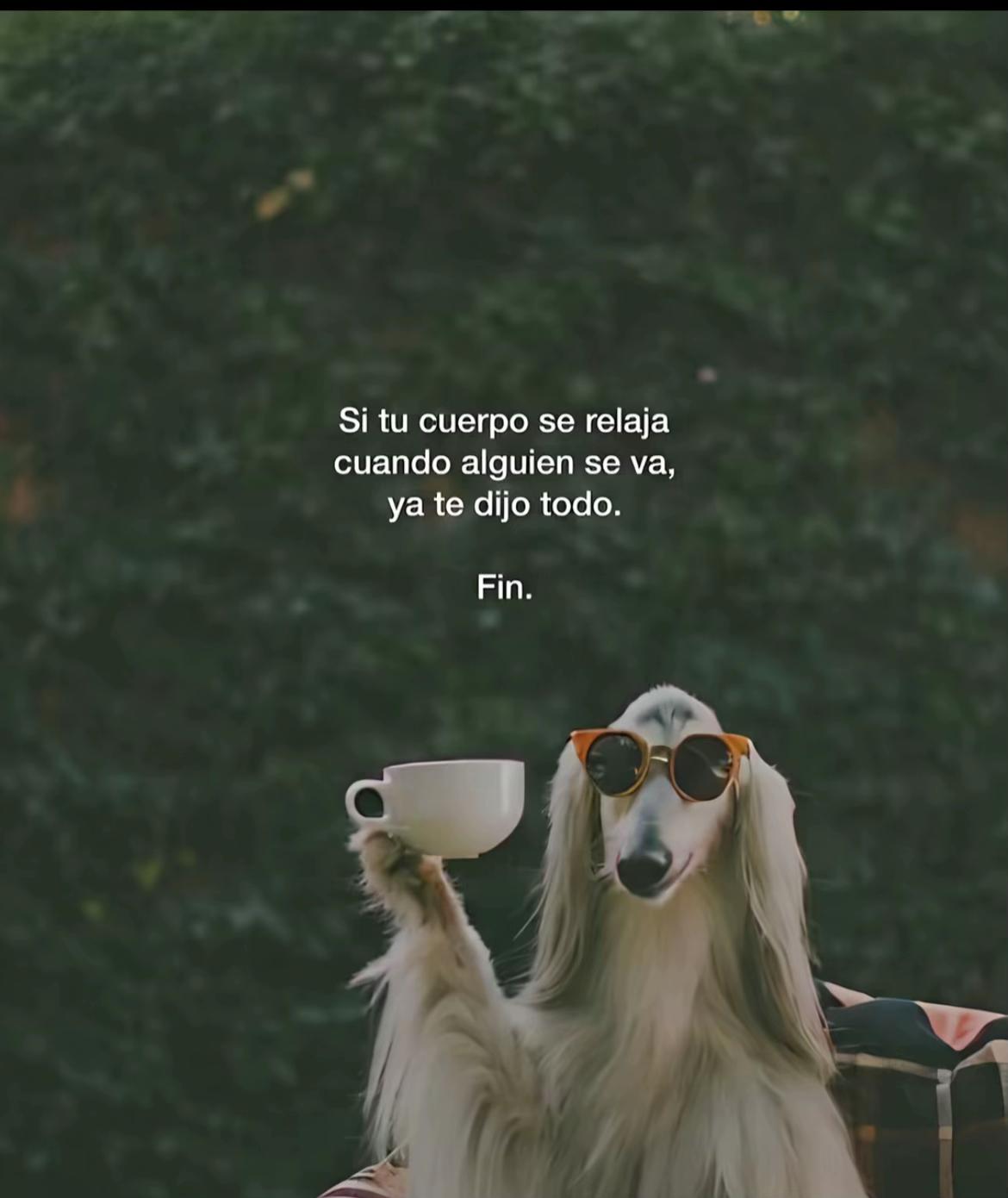 @Loli🌸