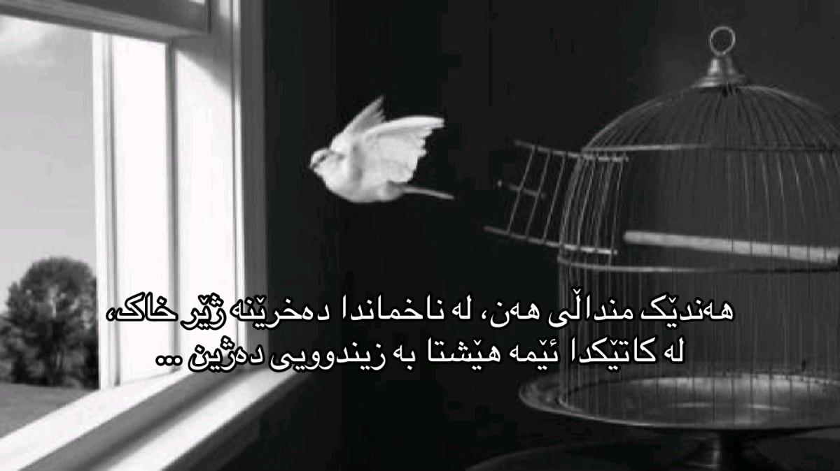 @Z͜͡AKA