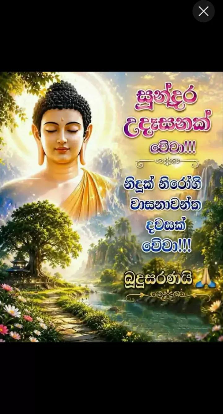 @Aashu Malik
