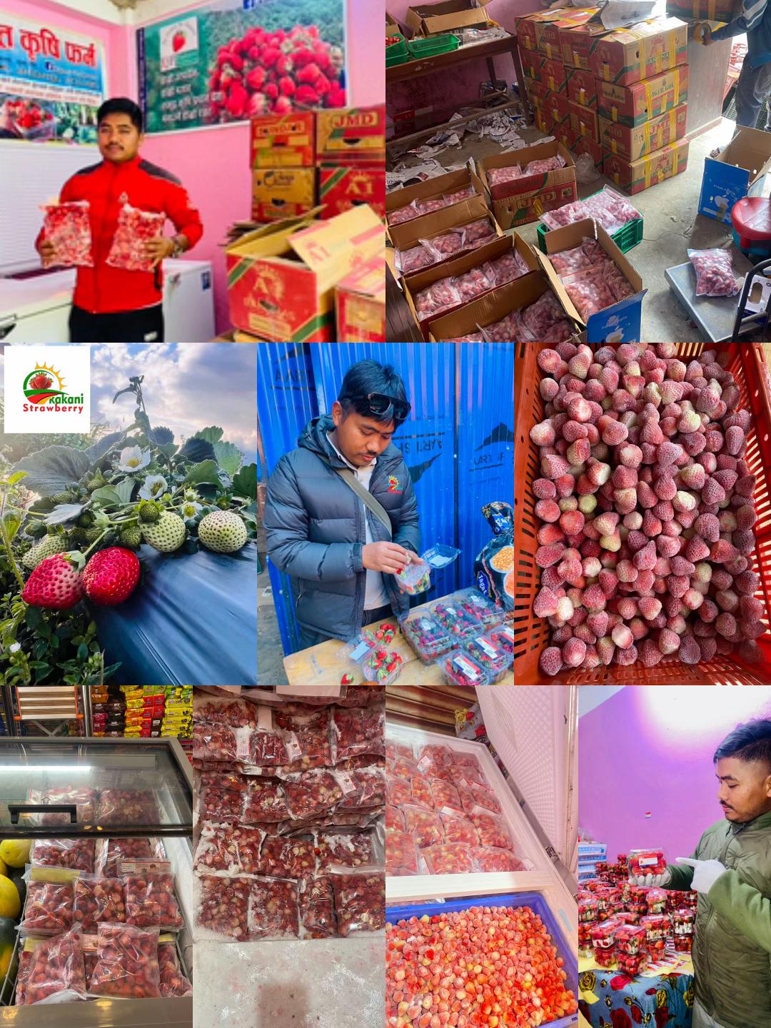 @kakani strawberry 🇳🇵🇳🇵