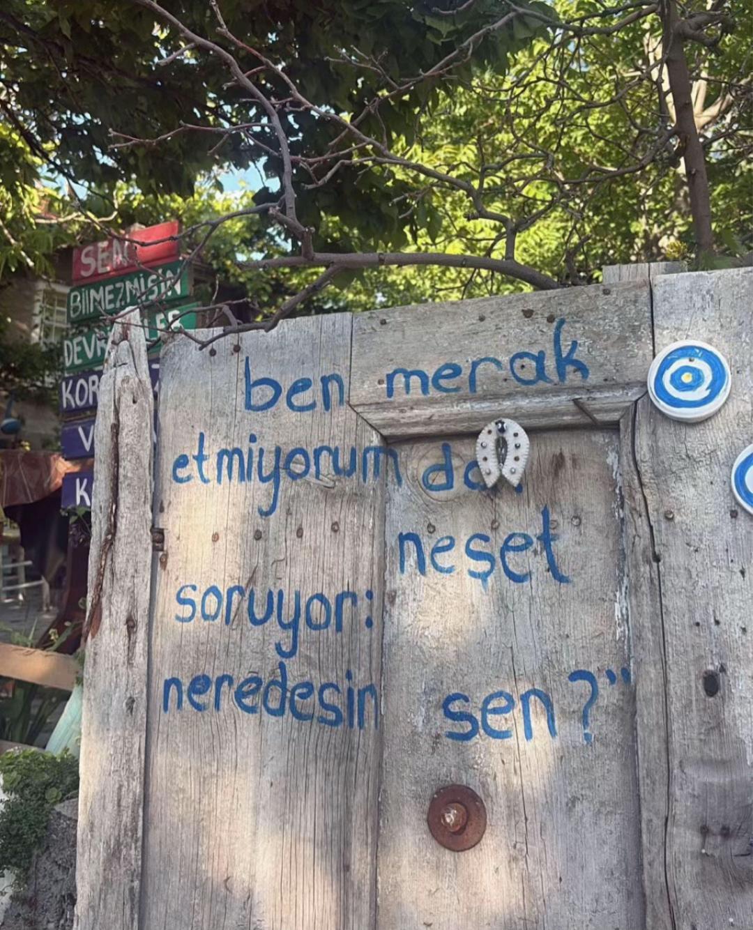 @ayse_saglaam