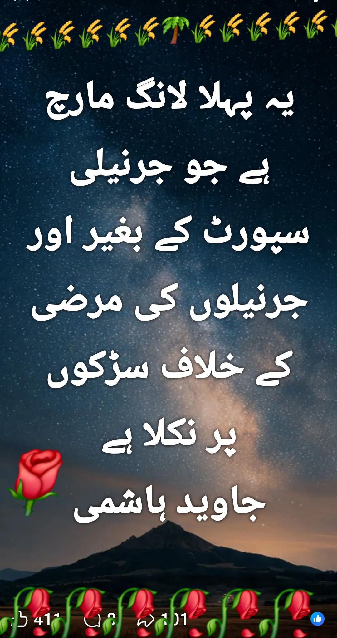 @اڈیالہ 804