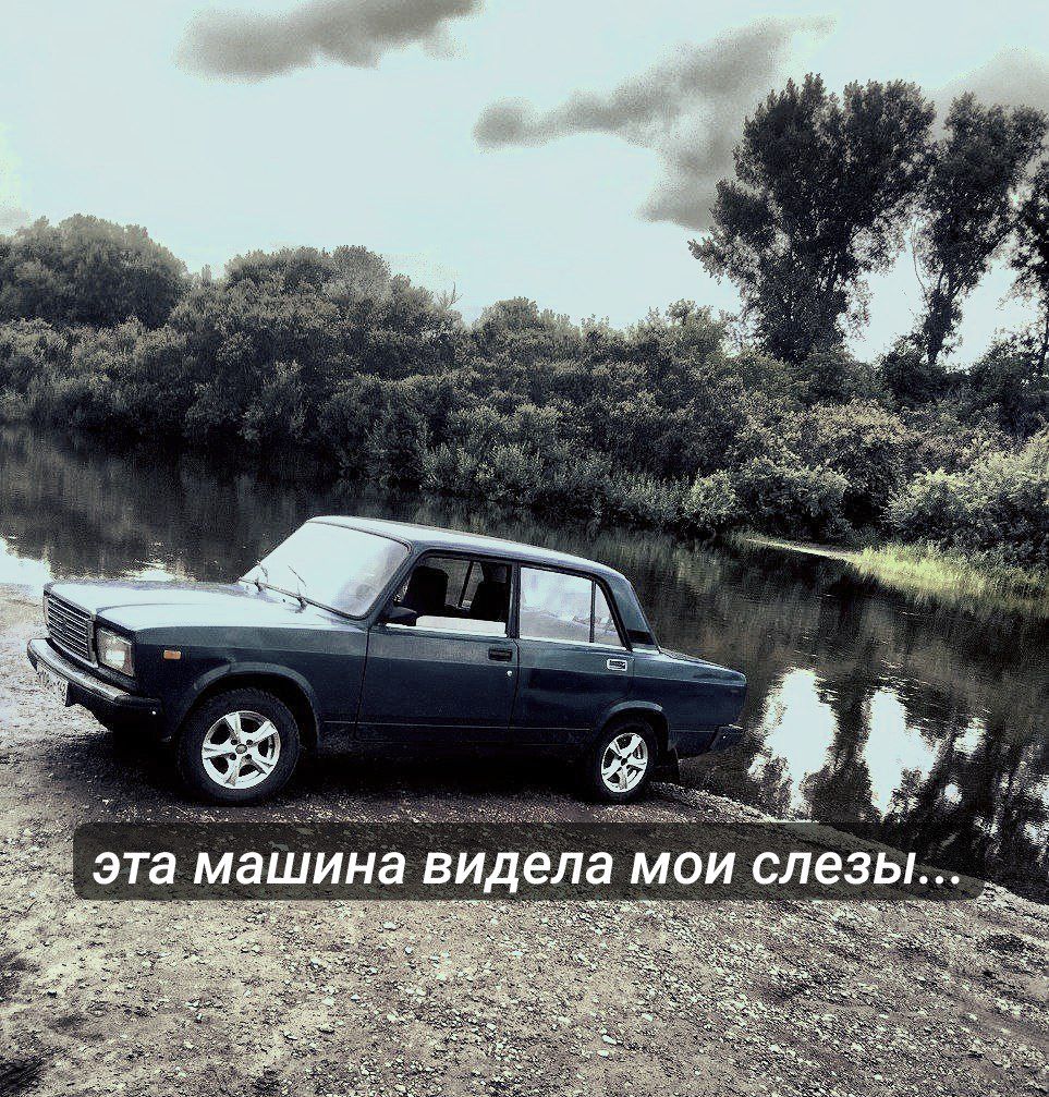 @черепашка🤍