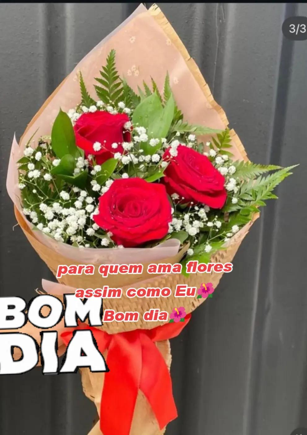 @Cicida Mineira✔️
