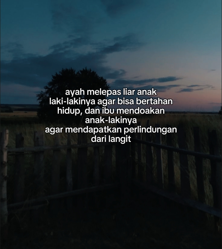 @story official