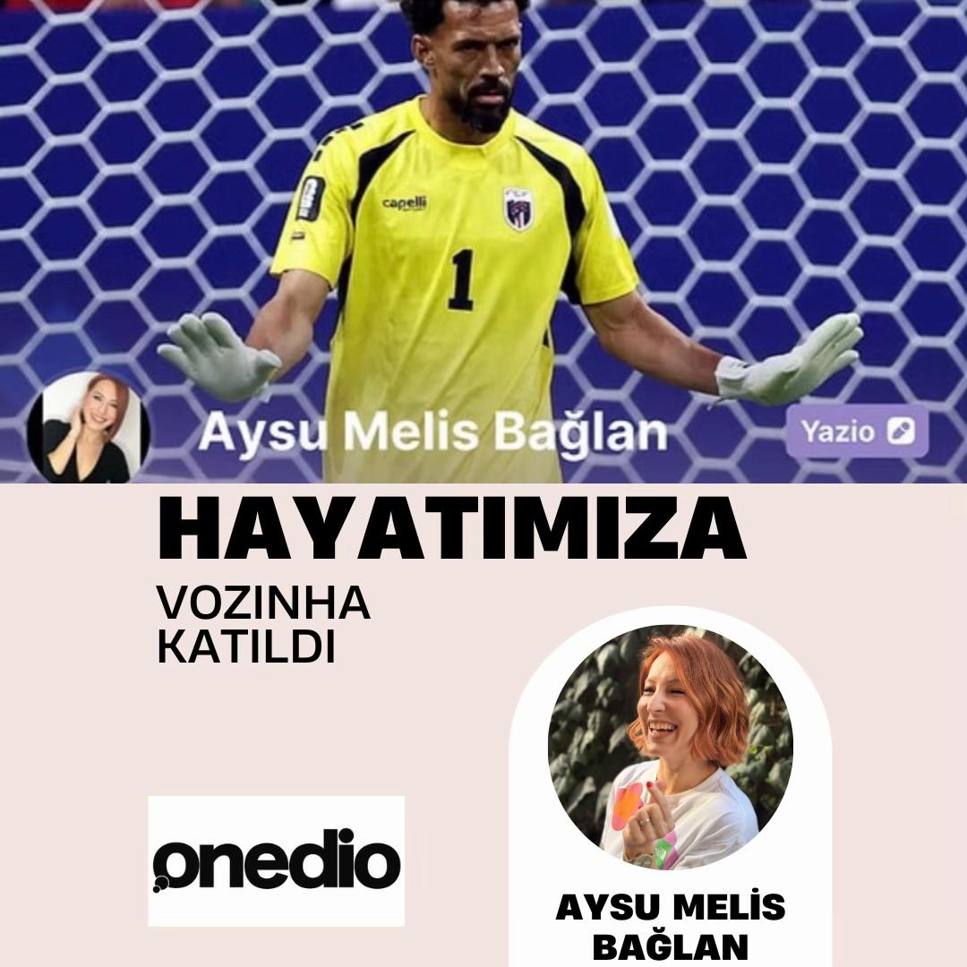 @aysu melis