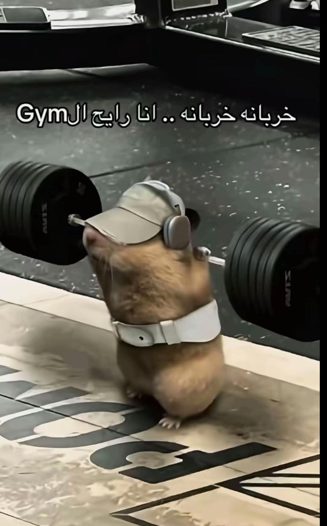 @Seif is talking