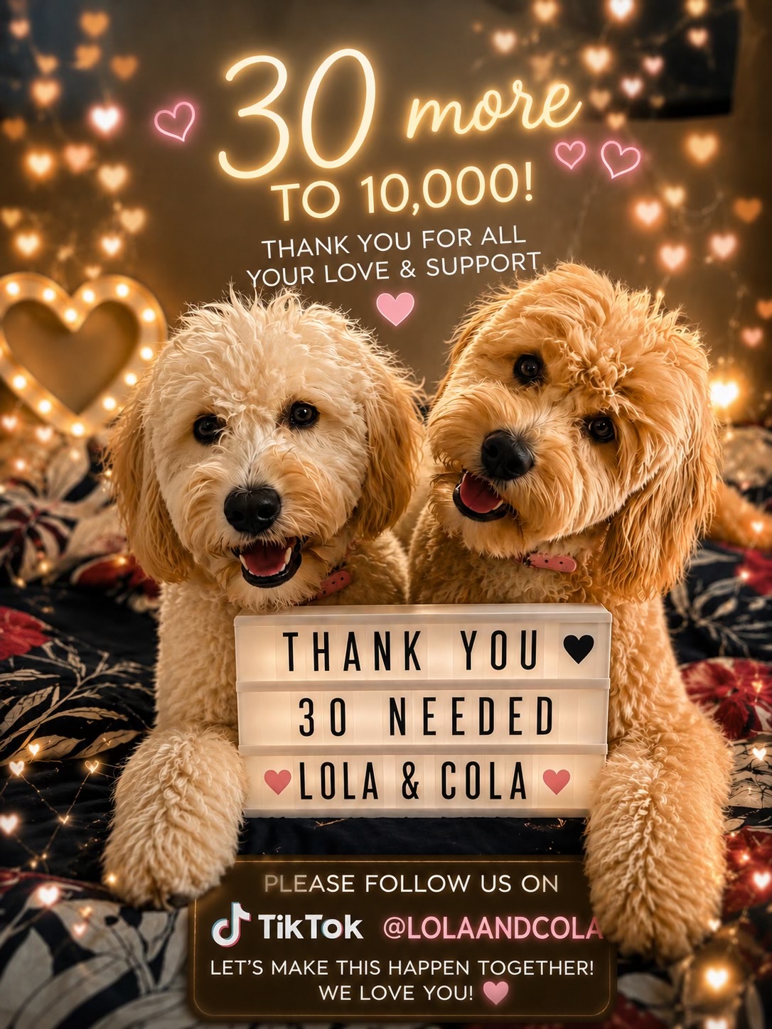 @LolaCola