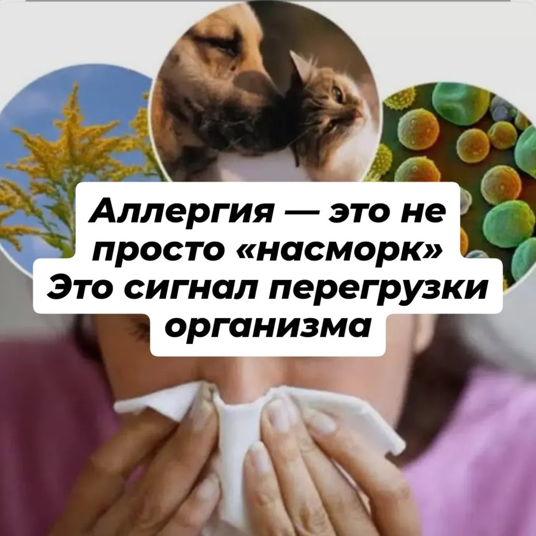 @Liudmila_zdorovo_b.z