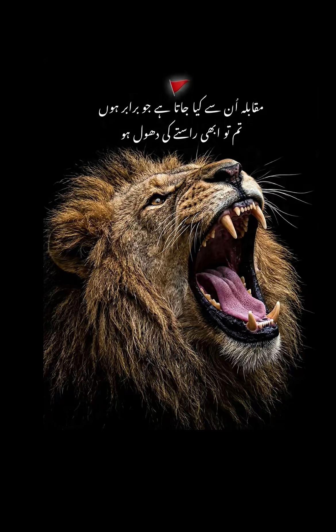 @استاد اعجاز چٹھہ گروپ🕊️❤️
