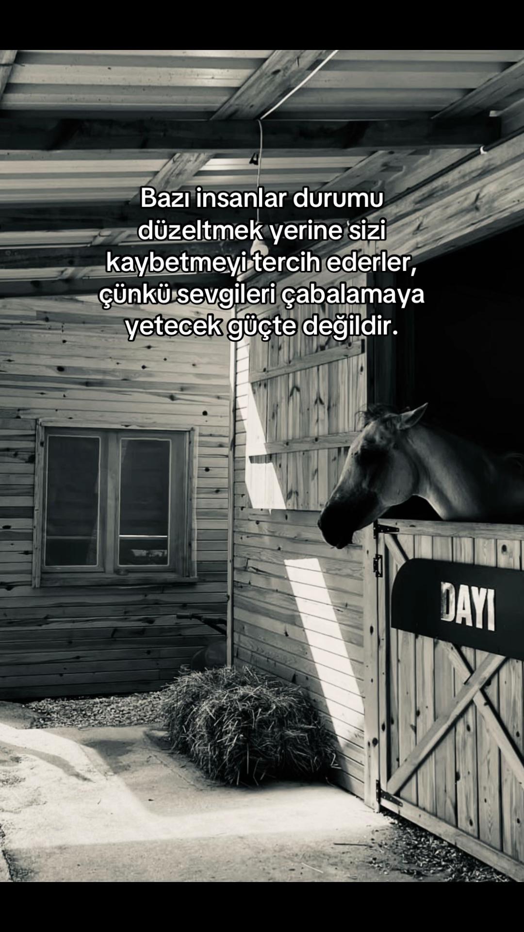 @userciikkk