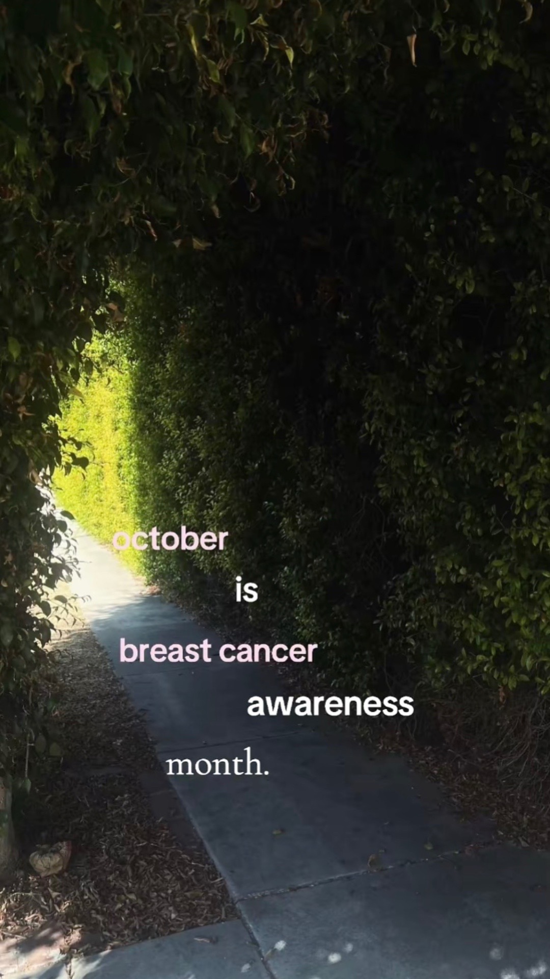 @𝓚ꨄ
