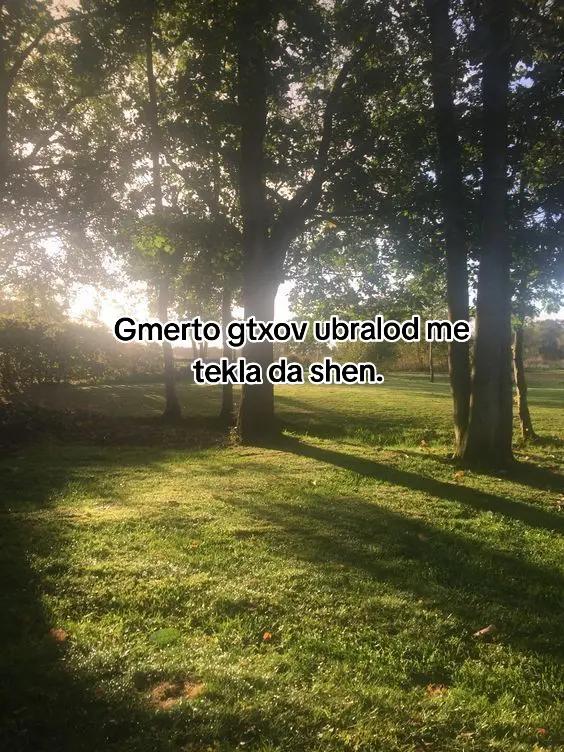 @tekklamiyyvarxarr