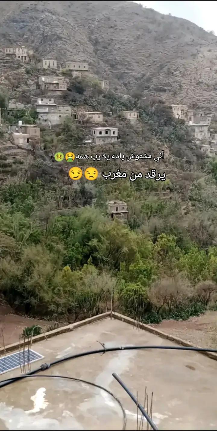 @❀🇾🇪👑🫶🌹🇾🇪❀