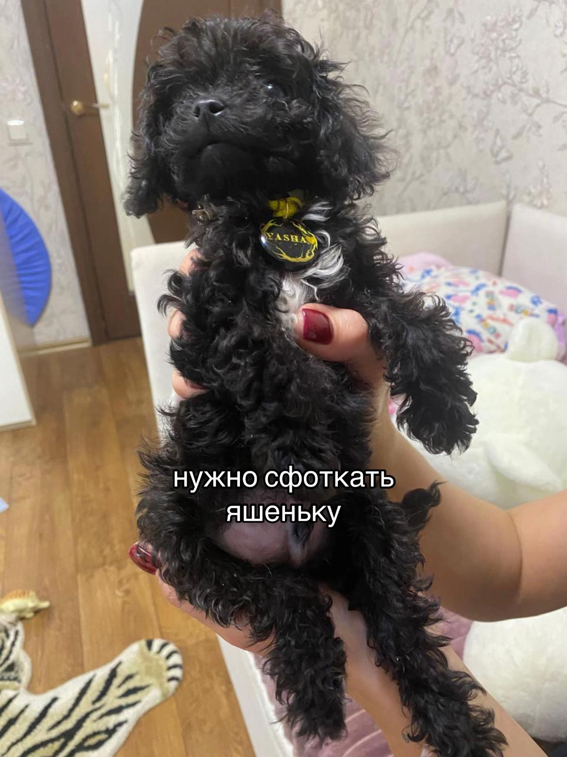@лиза