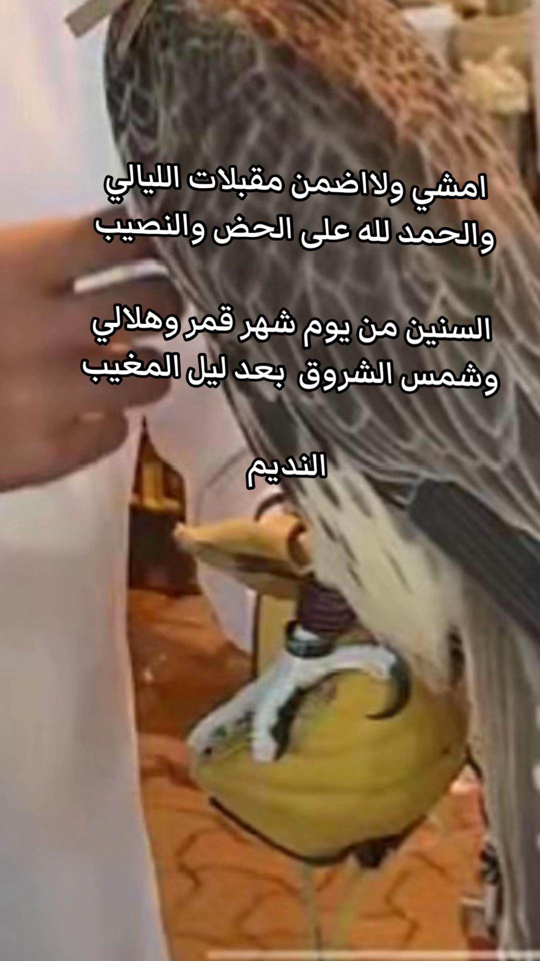 @النديم🇸🇦