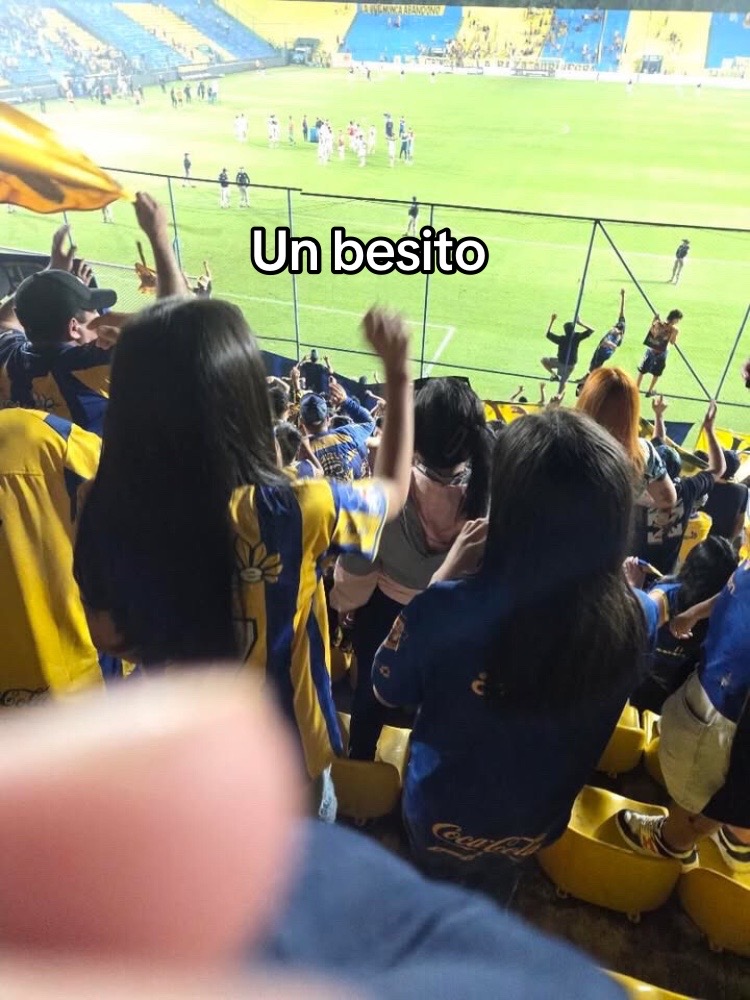 @Sebasgill11