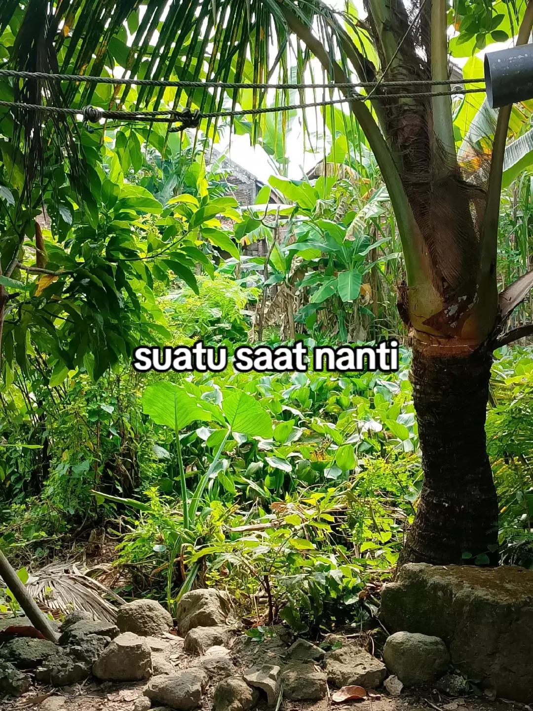 @xyntidd..