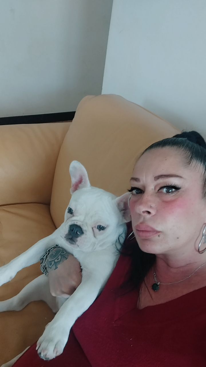 @appobomba
