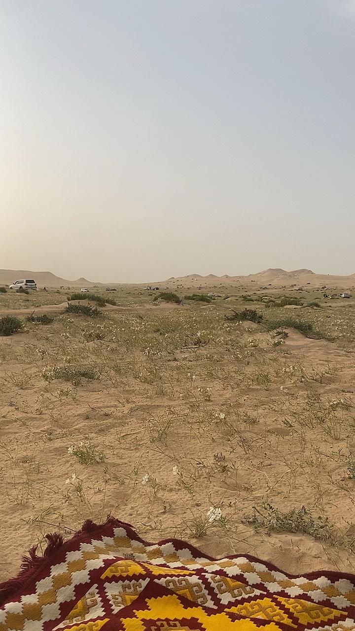 @ابـٌَو محمـٌَد، ⑩🦌👑